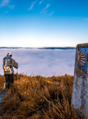 Pilgrim on Camino de Santiago, Asturias