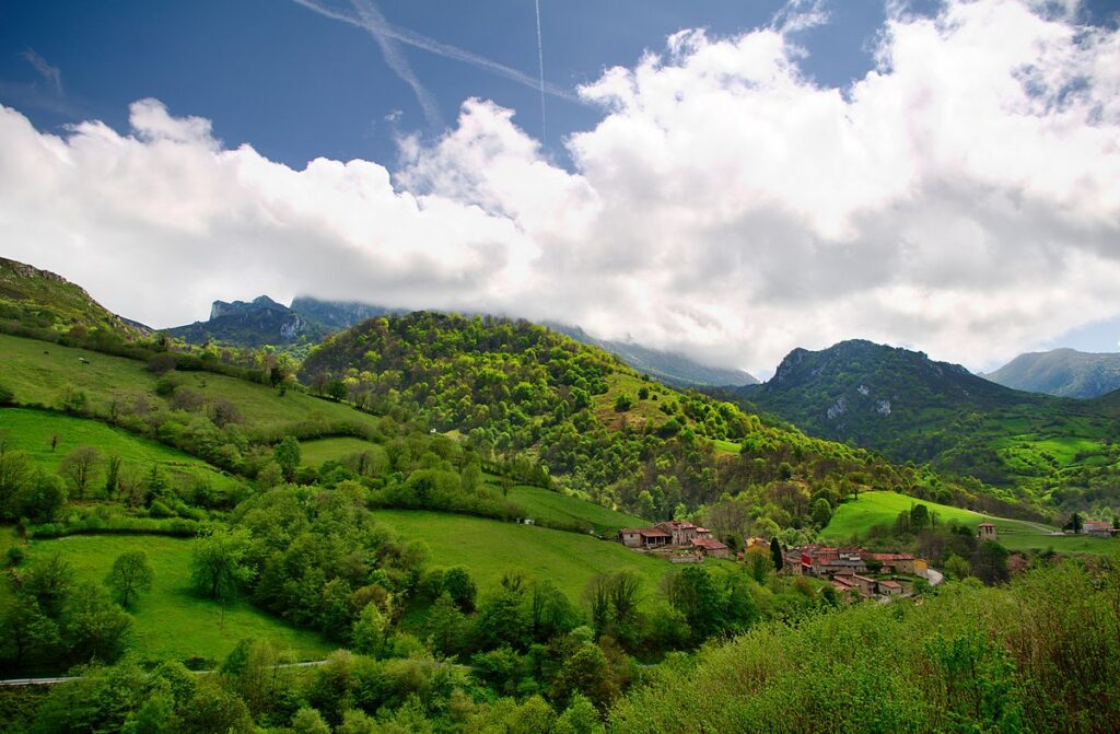 Pedroveya